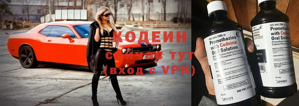 индика Слюдянка