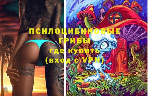 mdpv Бронницы